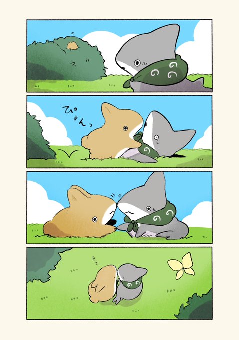 ザメちゃん確認 子ザメとうさめちゃん | ペンギンボックス@子ザメ7巻&映画化