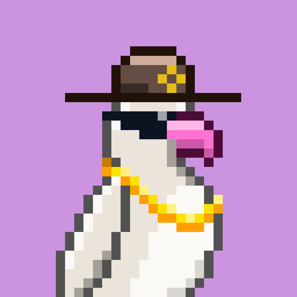 Parrots 🦜 tweet media