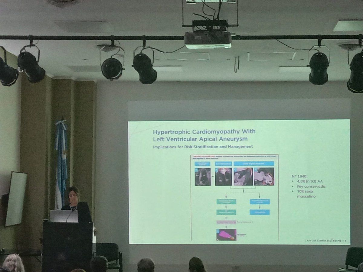 Leandro Pozzer tweet media