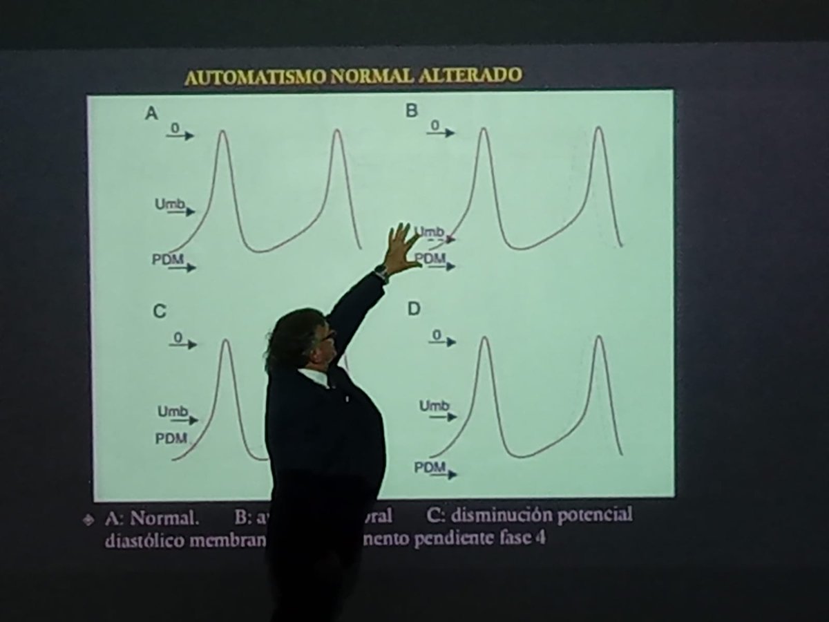 Leandro Pozzer tweet media