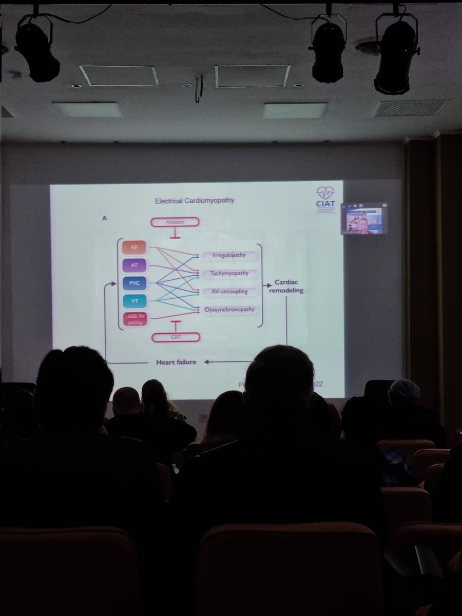 Leandro Pozzer tweet media