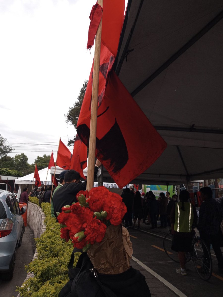 BrendaH2O66's tweet image. No podían faltar los #ClavelesROJOS en esta edición del FESTIVAL de la MEMORIA 2022 #NuncaMás, organizado por @HijosGuatemala y dedicado a la resistencia de estudiantes Sancarlistas. 

#ElFraudeSeCae