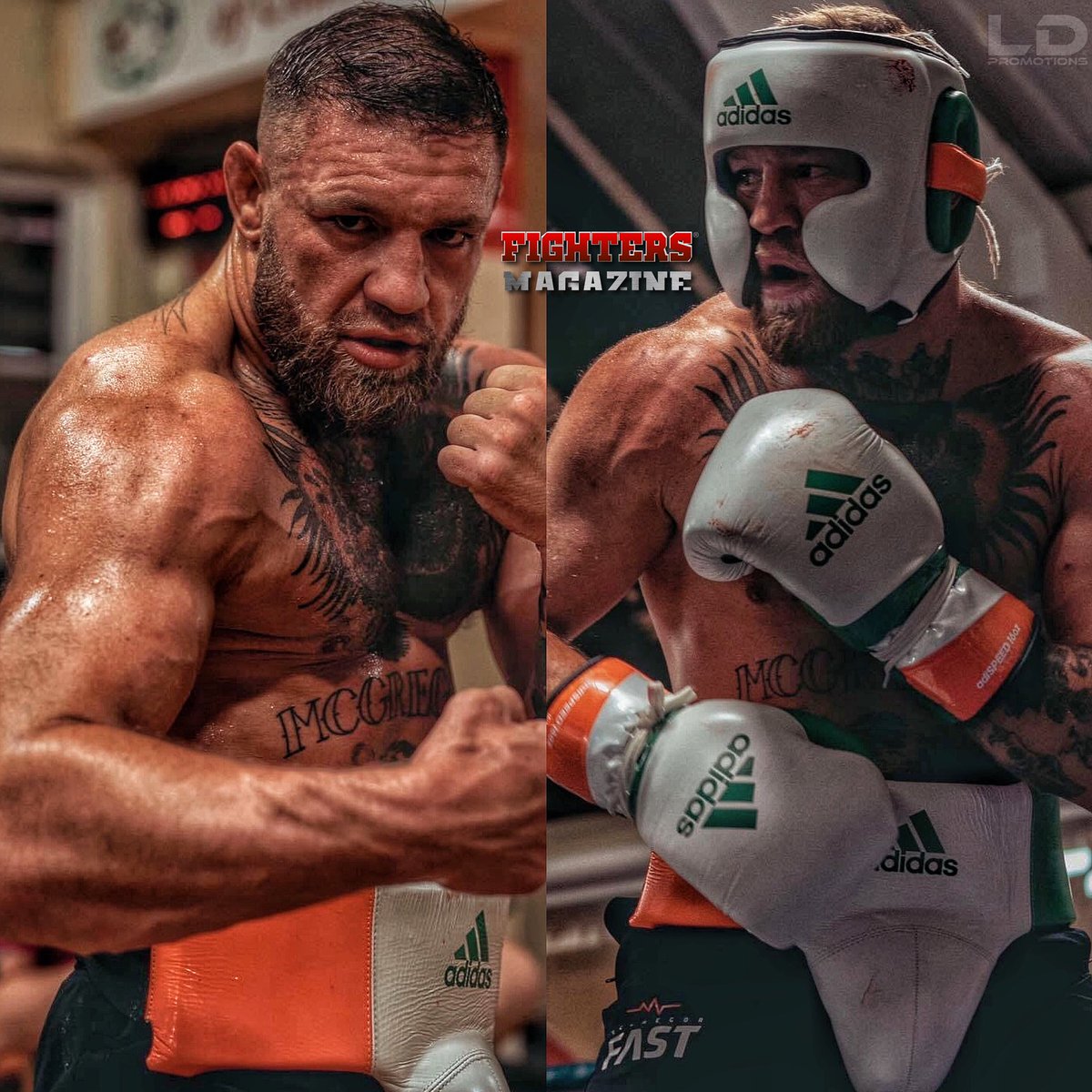 FightersMagz's tweet photo. 🦍🔥 Conor McGregor enfocado, de lleno en entrenamientos de boxeo ante las negociaciones de su revancha contra Floyd Mayweather. #MayMac2 #MayweatherMcGregor2 #UFC https://t.co/aeH1Qj6DOu