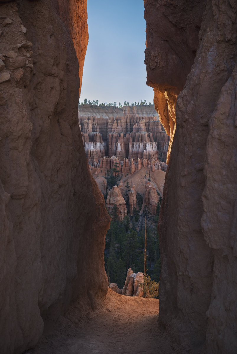 Mark_Mroz's tweet photo. Splitter crack in the canyon. #photo #canon #landscapephotography #nationalparks https://t.co/MsNkHLqjUv