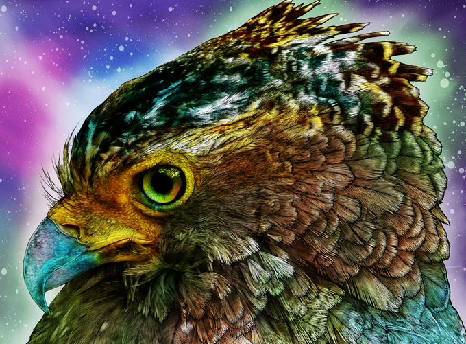 猛禽類のtwitterイラスト検索結果