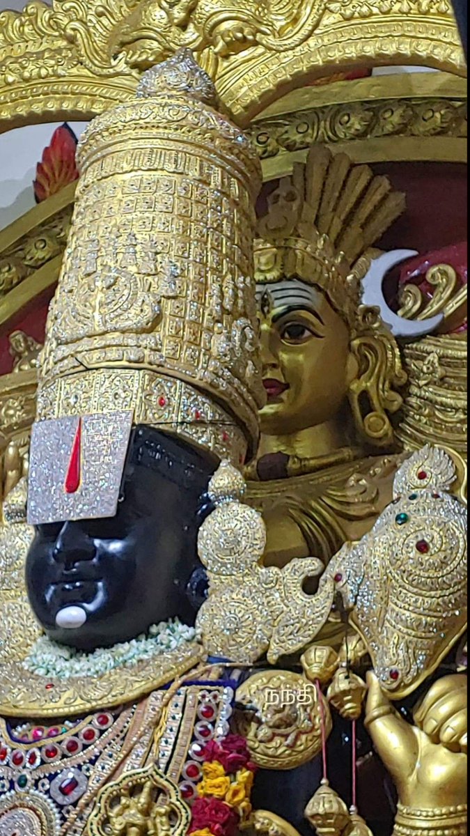 Sheetal 🇮🇳 🚩 tweet media