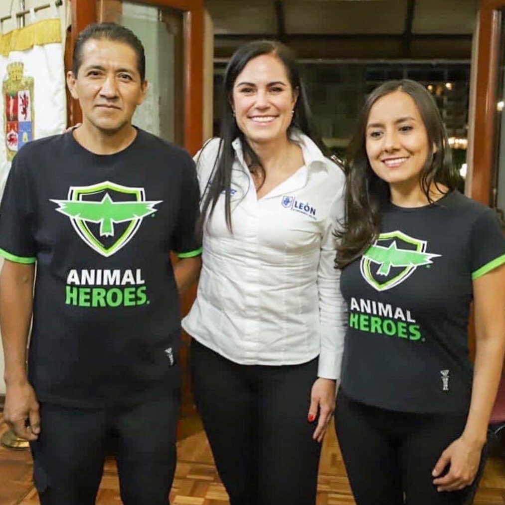 BeAnimalHeroes's tweet photo. ¡Victoria para los animales! León, Guanajuato acaba de prohibir el uso de animales para carga en la vía pública, celebramos que la iniciativa de la alcaldesa @AleGutierrez_mx, integrante de la #BancadaAnimalista y la regidora @JaredGonzalezM, haya sido aprobada, a pesar de 🧵👇🏼 https://t.co/cTfJ5Uy4Pp