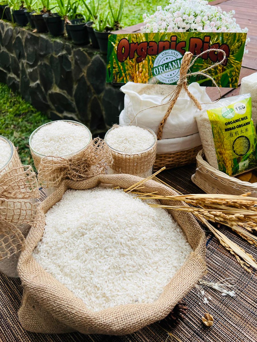 AgrotamaPt's tweet photo. https://t.co/mSEYBLRl35