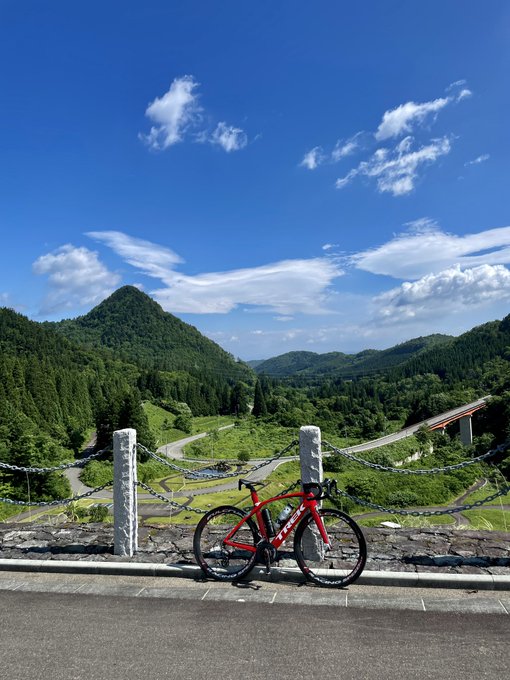 この晴れ間は見逃せないおじさん「この晴れ間は見逃せない」 