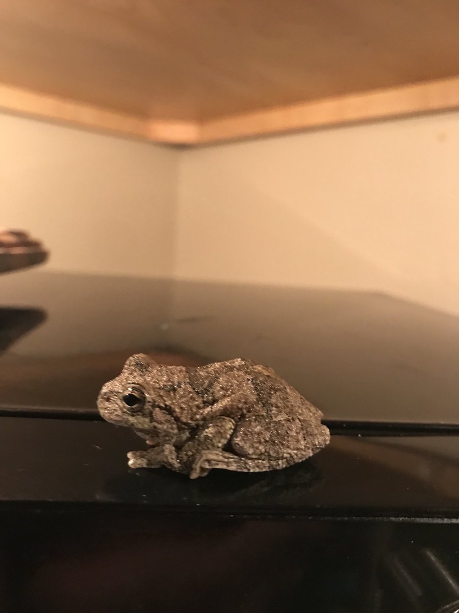 DTripperjohn's tweet photo. Proof of alien overlords. How did the Mutha F get on my suddenly not working “microwave “  1st ever representative of the Alien Overlords https://t.co/Q8jXgeGnmq