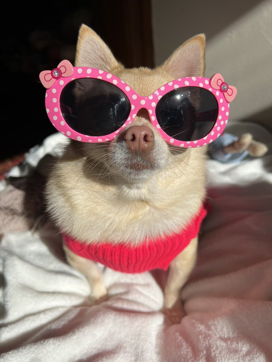 🧚🏻♀️🎀 Tinkerbell 🎀🧚🏻♀️ tweet media