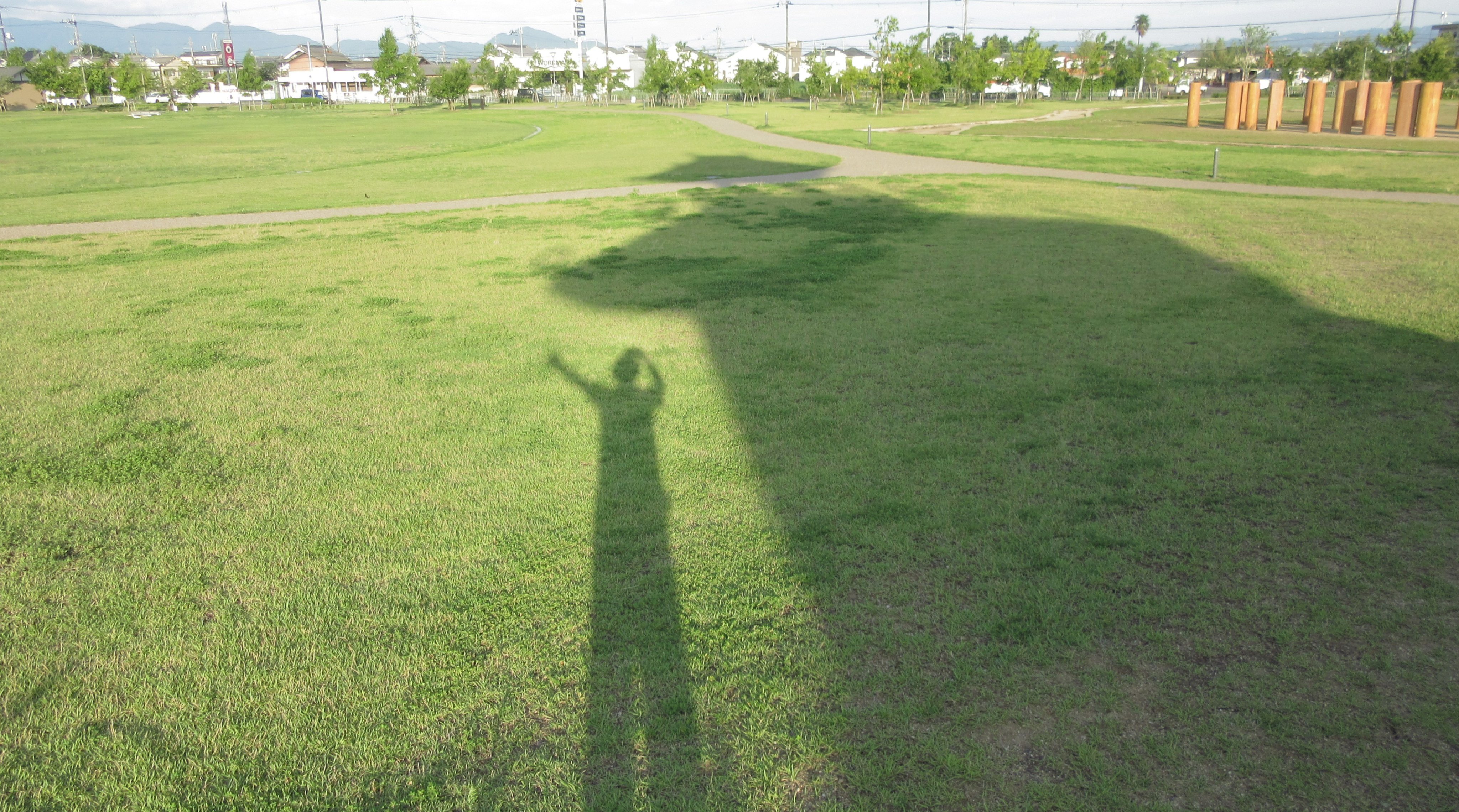 唐古鍵遺跡史跡公園 Twitter Search Twitter