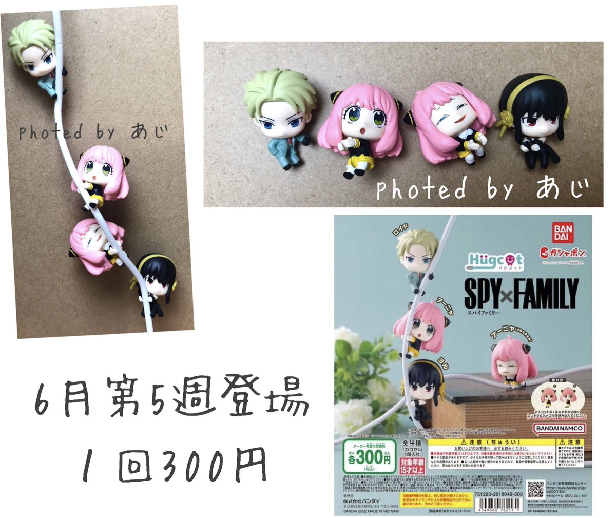 SPY×FAMILY ( スパイファミリー ) グッズ情報 on X