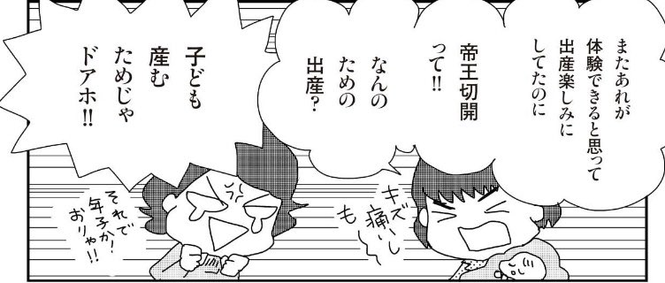 出産、ごくごくまれに「最高に気持ちよかった」という人がいます。知人でふたり(ふたりの感想は下の昔描いたマンガ参照)。そんな感想を聞いてたので私は超ポジティブモードで出産に挑みました😂 