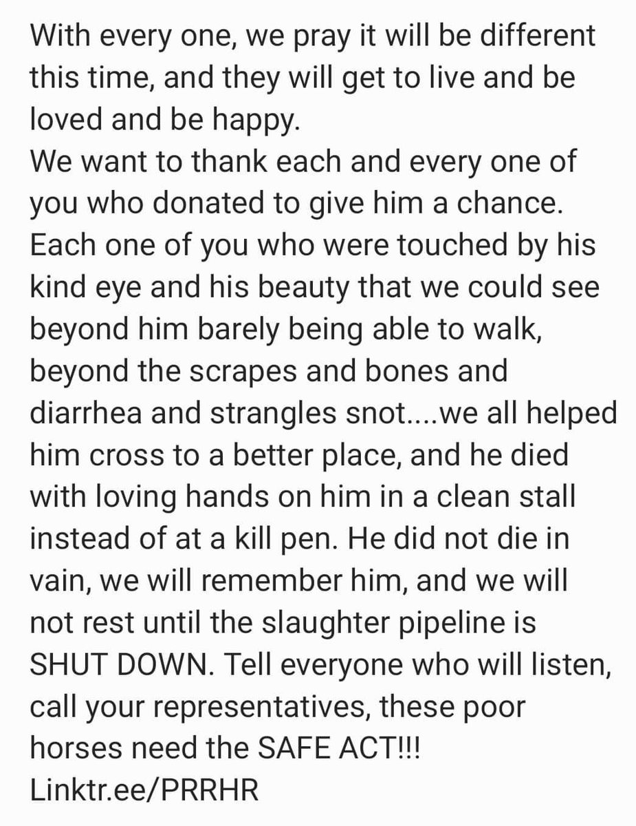 💙 Retweeting for those who didn't know 😥 Our hearts are broken 💔 We wanted so badly for Charlie to live 😥
#Horse #Rescue #Support #Love #NoSlaughter #PassTheSafeACT