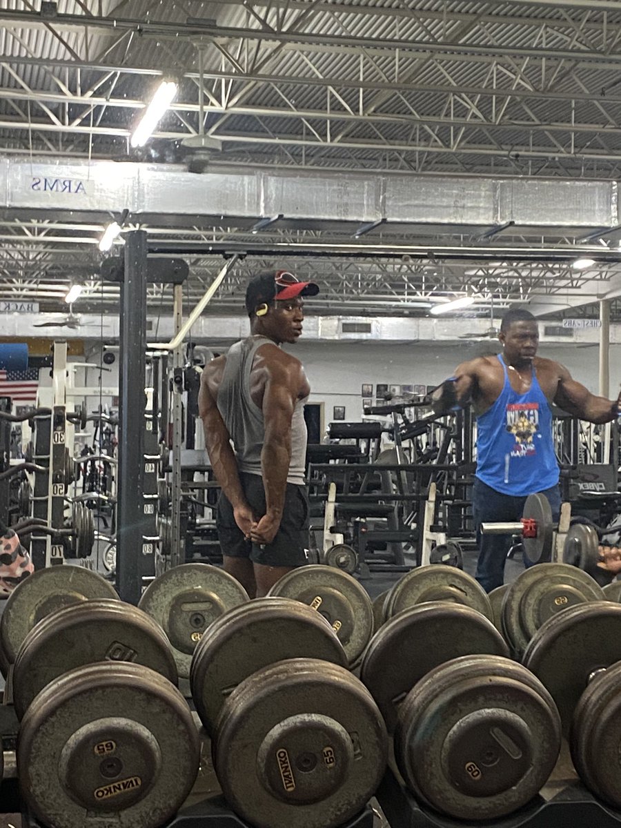 1of1ape's tweet photo. Hungry for more🦍 https://t.co/CPjuMu7Fvj