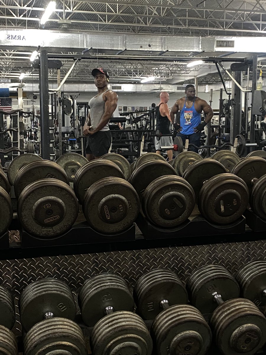 1of1ape's tweet photo. Hungry for more🦍 https://t.co/CPjuMu7Fvj