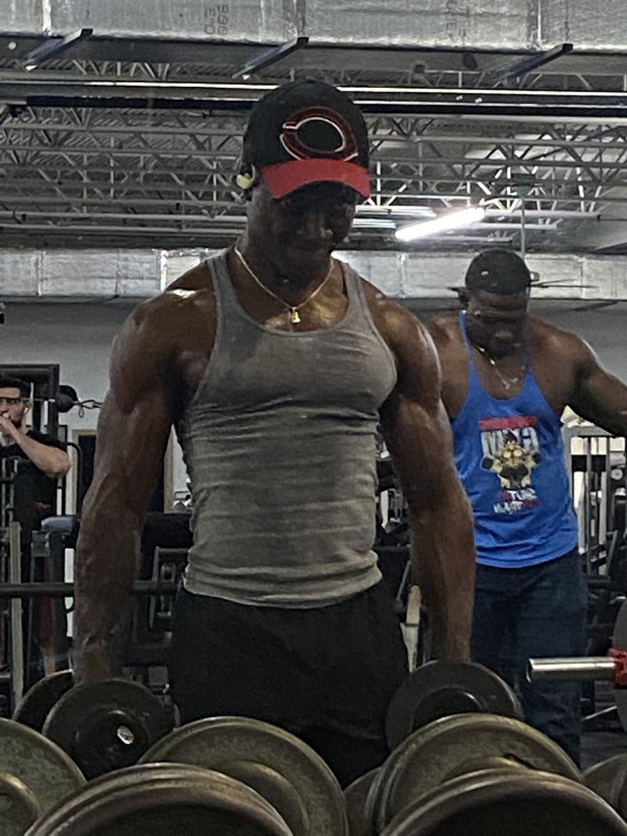 1of1ape's tweet photo. Hungry for more🦍 https://t.co/CPjuMu7Fvj