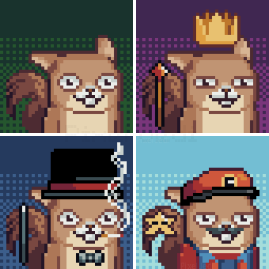pixeljedi_'s tweet photo. My fun dress-up squirrel.

"Squee the Squirrel"

#PixelArt
#PixelJedi 
#PixelDailies https://t.co/cAr693ykMr