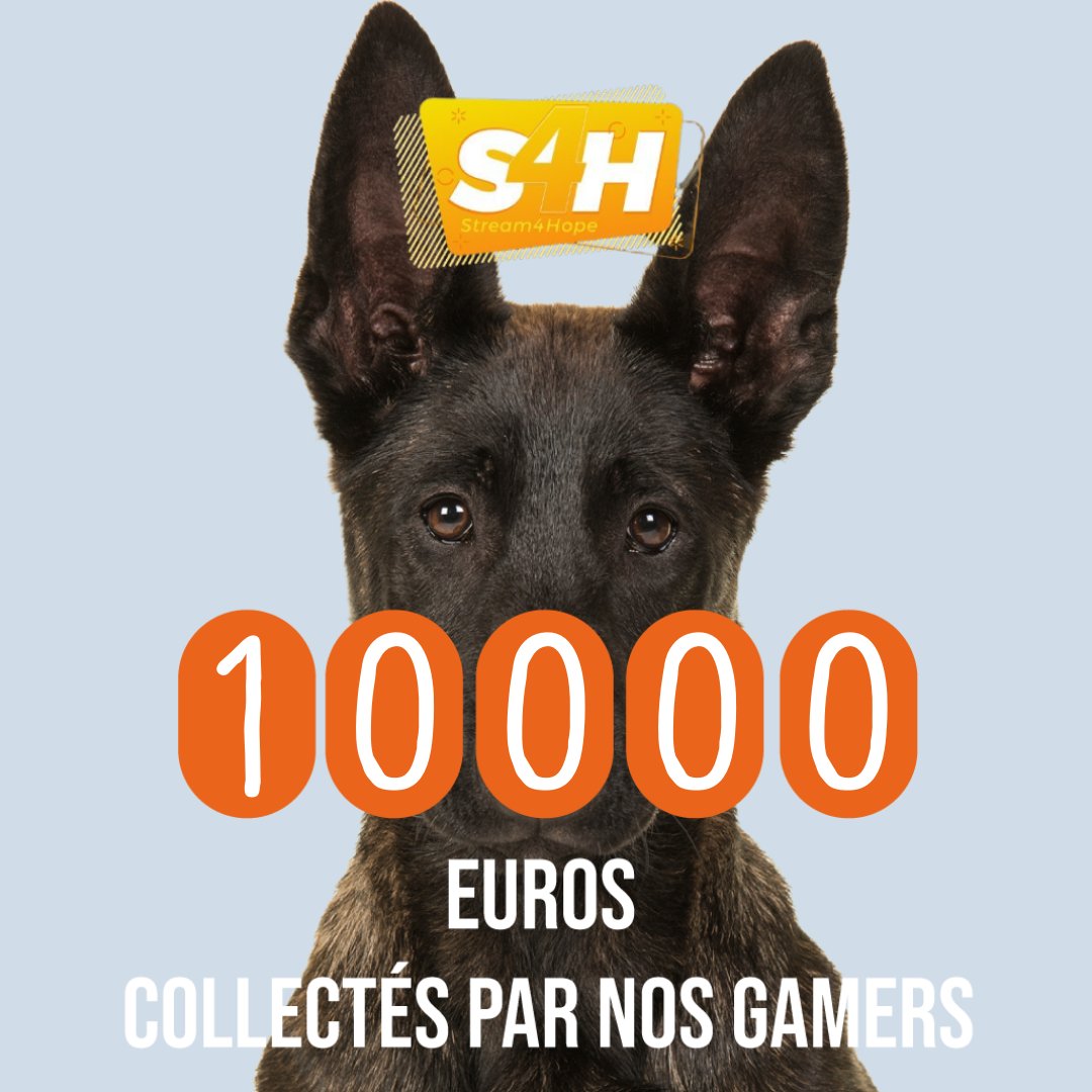 SPA_Officiel's tweet photo. Ils sont au taquet 🎮💪 Ils sont ultra motivés pour lutter contre l'abandon et aider les animaux de nos refuges. Rejoignez-les et soutenez-les en cette journée mondiale de lutte contre l'abandon 🐶🐱🐰 

https://t.co/Mz9X7yeTLa https://t.co/nhDKPphY8I