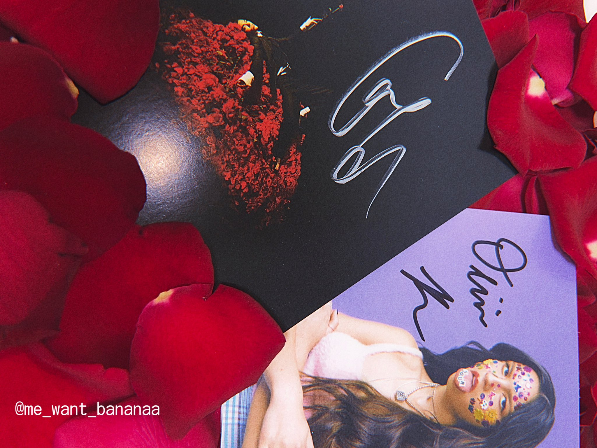 オリヴィア ロドリゴ 直筆サインu0026クリアファイル