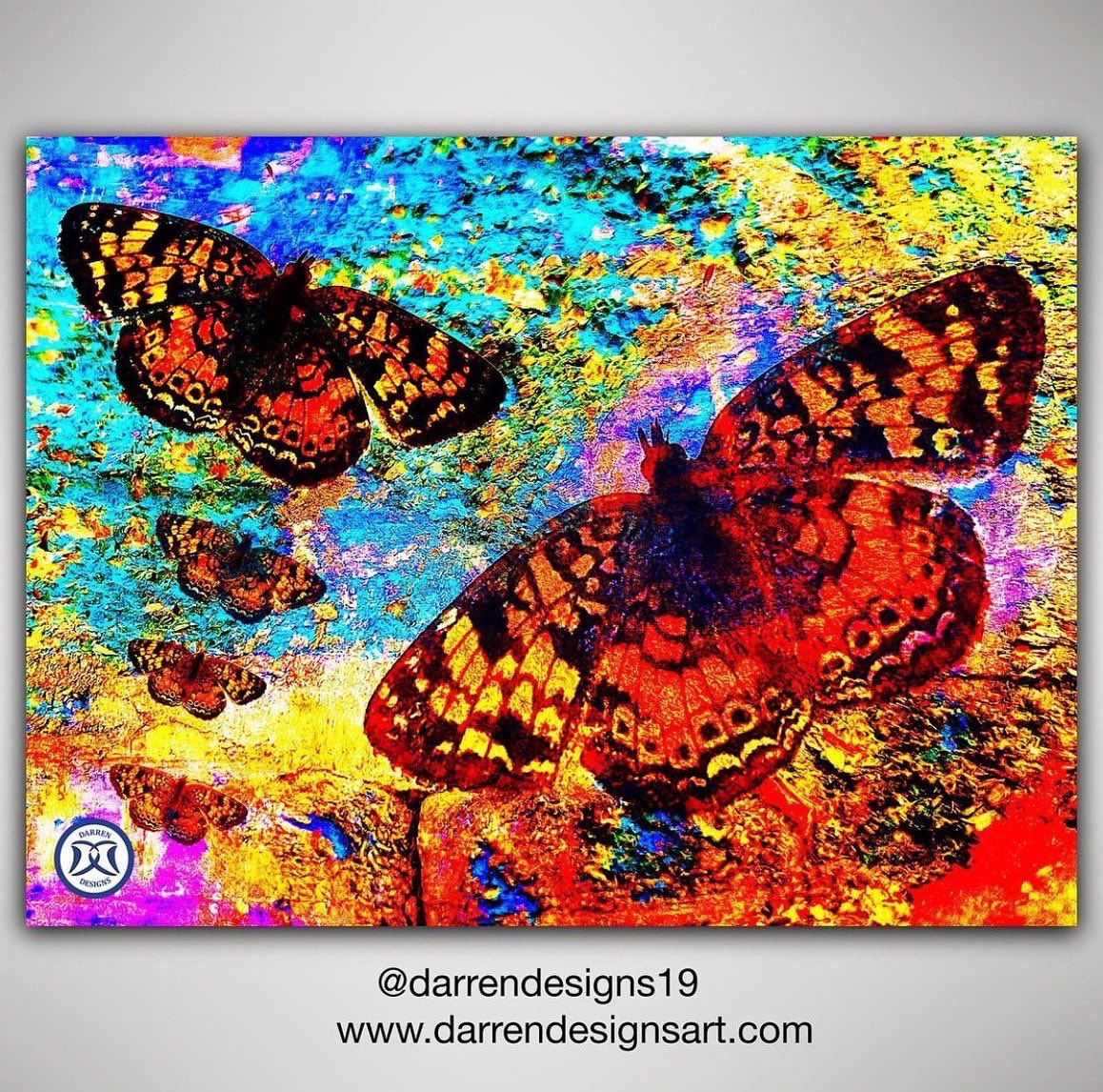 DarrenDesigns19's tweet photo. @milespphoto My color photography 📸 https://t.co/NcBjRsEqjM