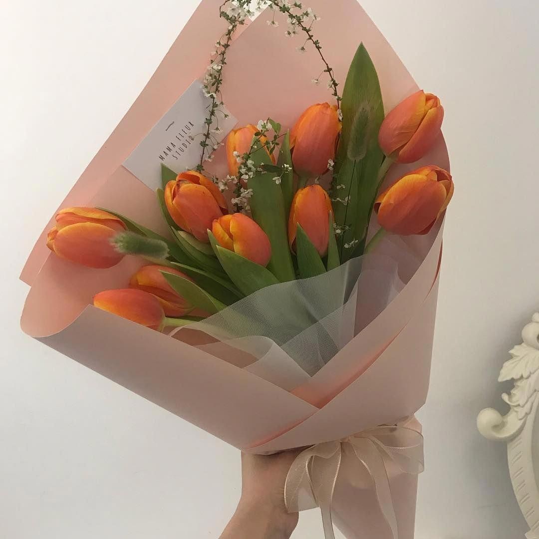 jvngkoox's tweet photo. Sayangku manisku cantikku @nenaixin 

Selamat ulangtahun 🥳 akhirnya bisa manggil noona untuk 2 bulan ke depan 

Buat kadonya silakan klaim di dm https://t.co/8k0xc0KqDd