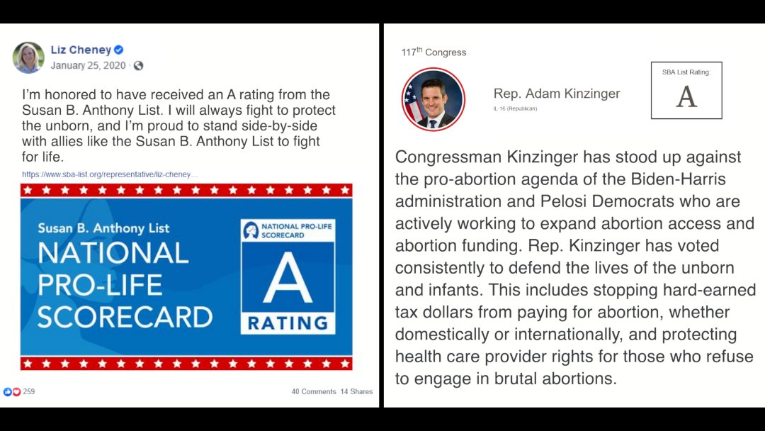 donwinslow's tweet photo. Imagine marching today for women's rights while simultaneously calling these two people heroes who have spent their ENTIRE political careers earning A ratings from hard right pro-life anti women organizations.
That's what some people are doing and that is insane. https://t.co/RWKbFO6NFw