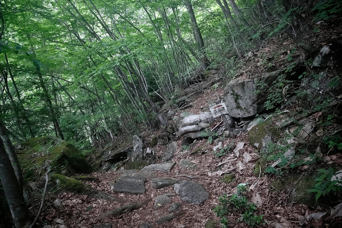 距離は300mしかありませんが、こんな道なので歩きやすい靴推奨です。