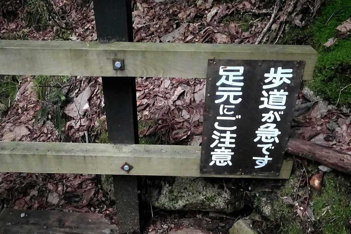 後半は木製の歩道と階段が整備されていますが、
注意看板の言う通りです。