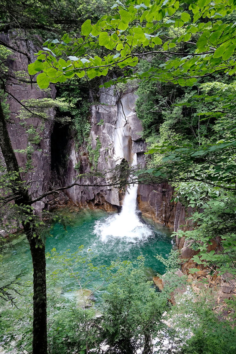 柿其（かきぞれ）渓谷の「牛ヶ滝」です。

流石に、「おりたた牛」はお留守番。