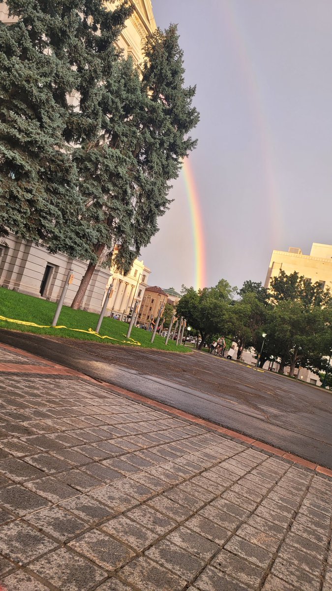 LunaSee303's tweet photo. #Denver #Denverprotest https://t.co/JATzRY6DsW