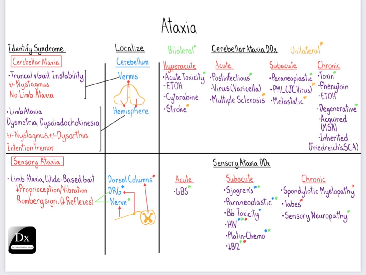 Journal of Brown Hospital Medicine (@brownjhm) on Twitter photo Approach to ataxia <a href="/CPSolvers/">The Clinical Problem Solvers</a> #BJHM #MedEd #FOAMed #ataxia #Neuro #Neurology #MedTwitter #NeuroTwitter #Gait Approach to ataxia <a href="/CPSolvers/">The Clinical Problem Solvers</a> #BJHM #MedEd #FOAMed #ataxia #Neuro #Neurology #MedTwitter #NeuroTwitter #Gait
