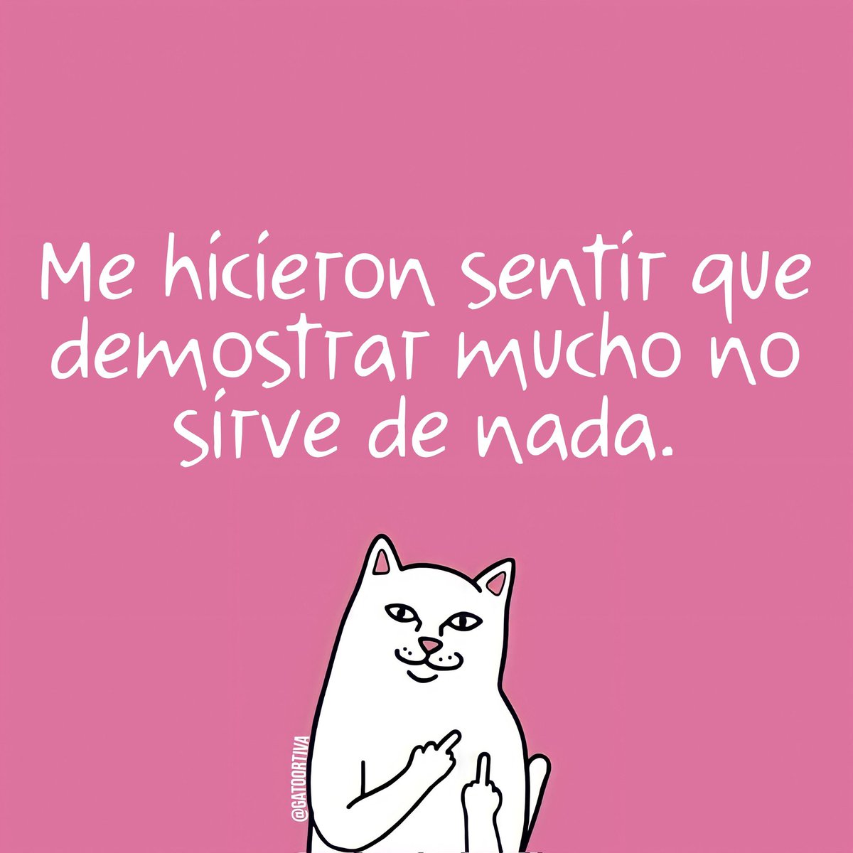 Gato Ortiva (@elgatoortiva) on Twitter photo 