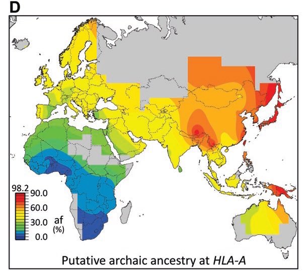 Pendant voice: actually this just map out how our inherited Neanderthal DNA got shaped by pathogenic...