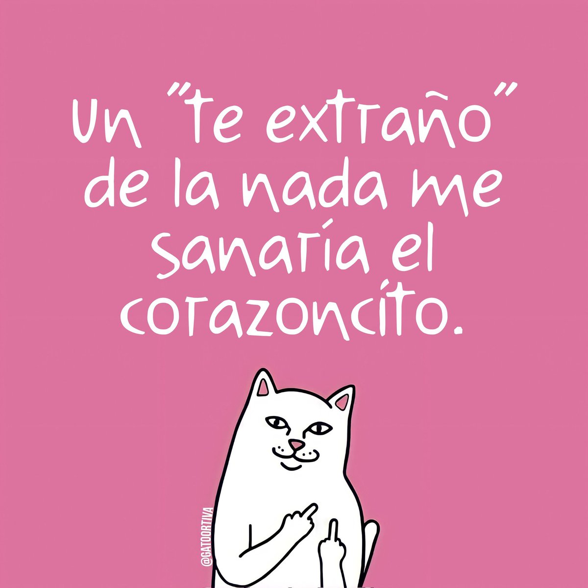 Gato Ortiva (@elgatoortiva) on Twitter photo 