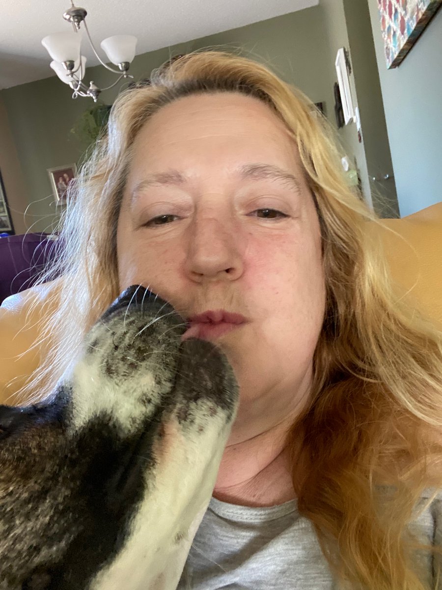 Sam my sweet affection boarding walking house sitting doggie! Luv me some Sam Smoochees! :)