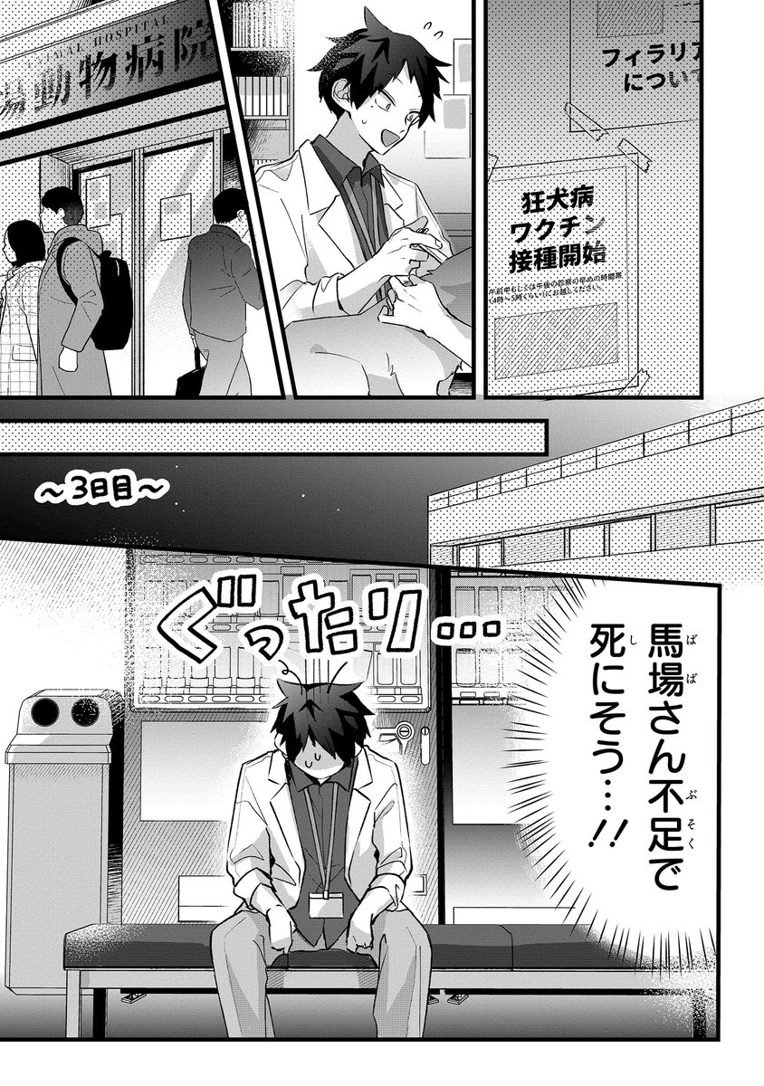 📢連載更新📢

『 #動物病院のおふたりさん 』1話中編!

昨日に引き続き中編が更新されました。鷹羽が馬場不足になってます😌よろしくお願いいたします!
https://t.co/m5lO9RgDVn 
