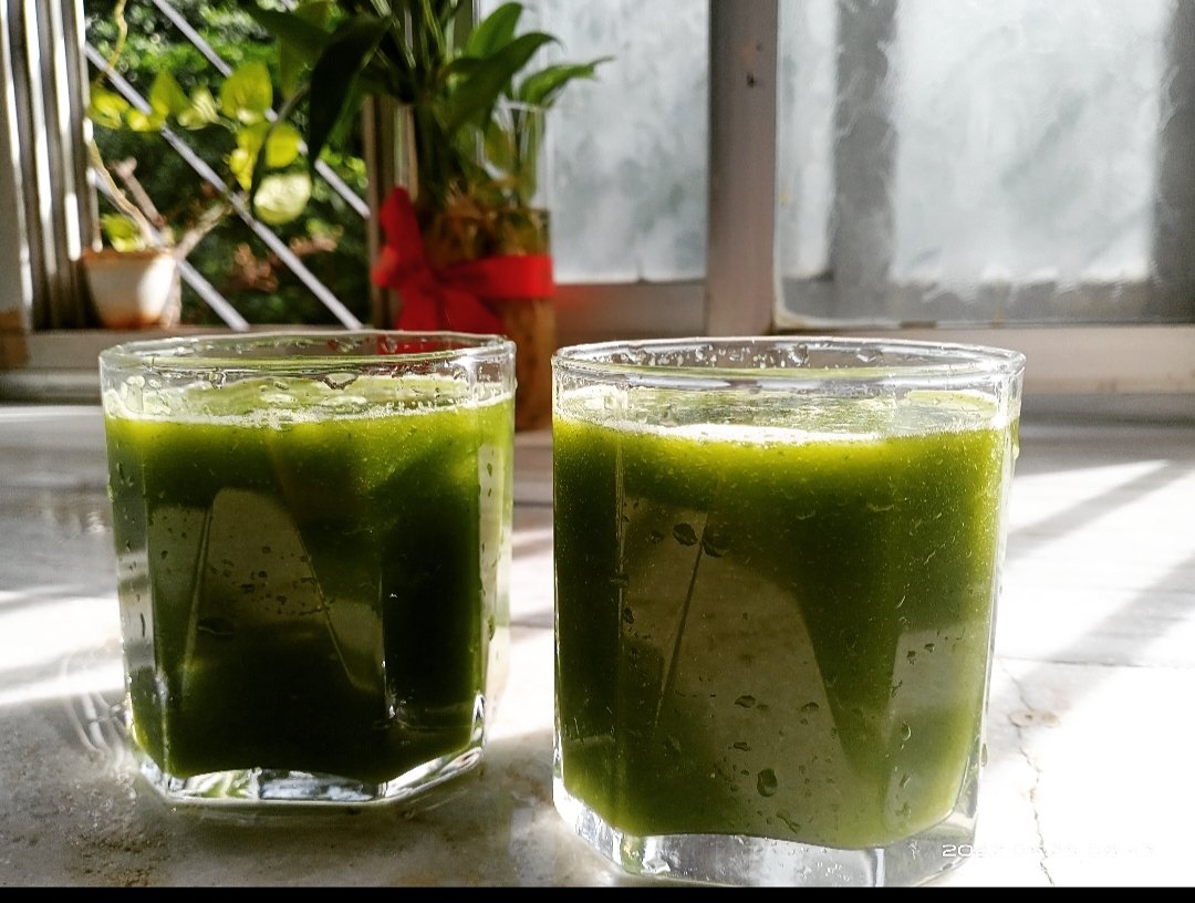 Sanjeev_Sings's tweet photo. Immaculately made cucumber+celery+bottle gourd+raw mango+ginger #coldpressed #goodness #HealthyLiving #detox #love #gratitude #dailyfeature #nectar https://t.co/3iKTKbsSxK