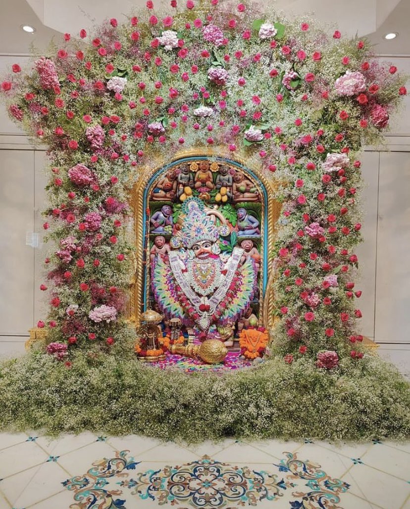 || सब सुख लहै तुम्हारी शरना तुम रक्षक काहू को डरना ||🙏🏻🤞🏻✨