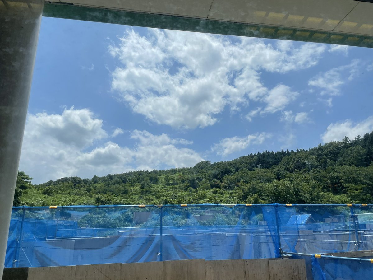 CUTLASSTypeR's tweet photo. いやー新潟あちー(楽しい)
 #新潟stg https://t.co/vJoL9AZ974