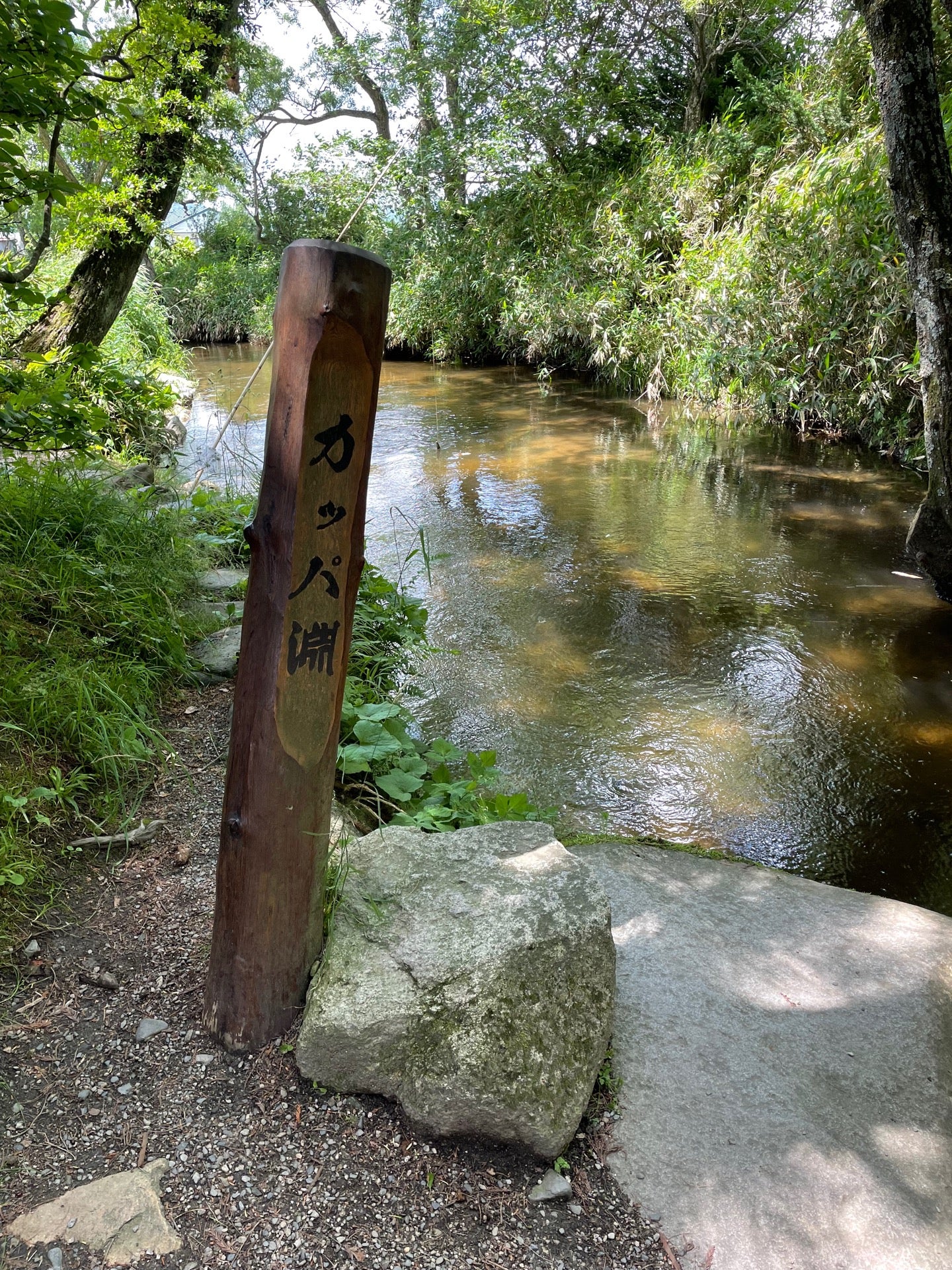 いうん かーっぱかっぱかっぱっぱ かっぱ淵 カッパ淵 In 遠野市 岩手県 T Co Kkwmxgiubk T Co U5dveda4pm Twitter