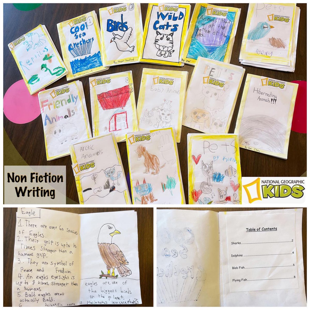 burnsmelissa1's tweet photo. After reading quite a few @NatGeo kids books &amp; discussing text features in non fiction books, sts made their own books. We used the popcorn sharing method to read each others books (sit &amp; read a book then pop up when you’re done &amp; swap with another st who’s standing). #sd38learn https://t.co/CvJX1YbTNo