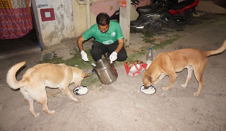 Hello everyone,
Please #support to #feed the 400 street dogs, poor, orphans and abandoned dogs and other street animals, you can support here: bit.ly/394TU99 🙏
