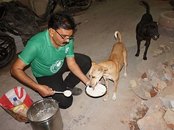Hello everyone,
Please #support to #feed street dogs, #poor, #orphans and #abandoned dogs and other street animals, you can support here: bit.ly/394TU99 🙏