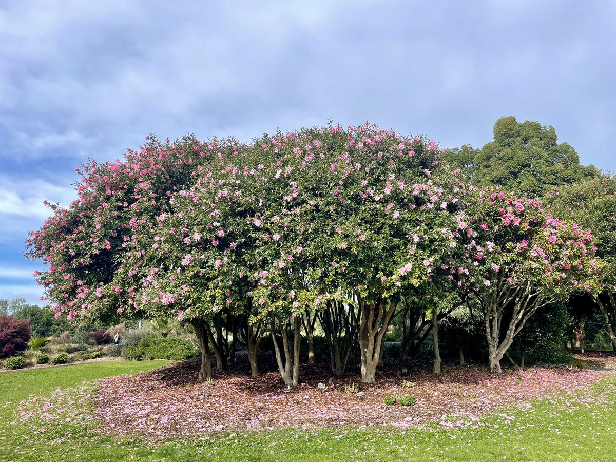 Dr Natasha Barrett (she/her) tweet media