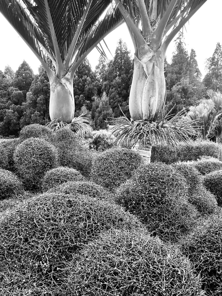 Dr Natasha Barrett (she/her) tweet media