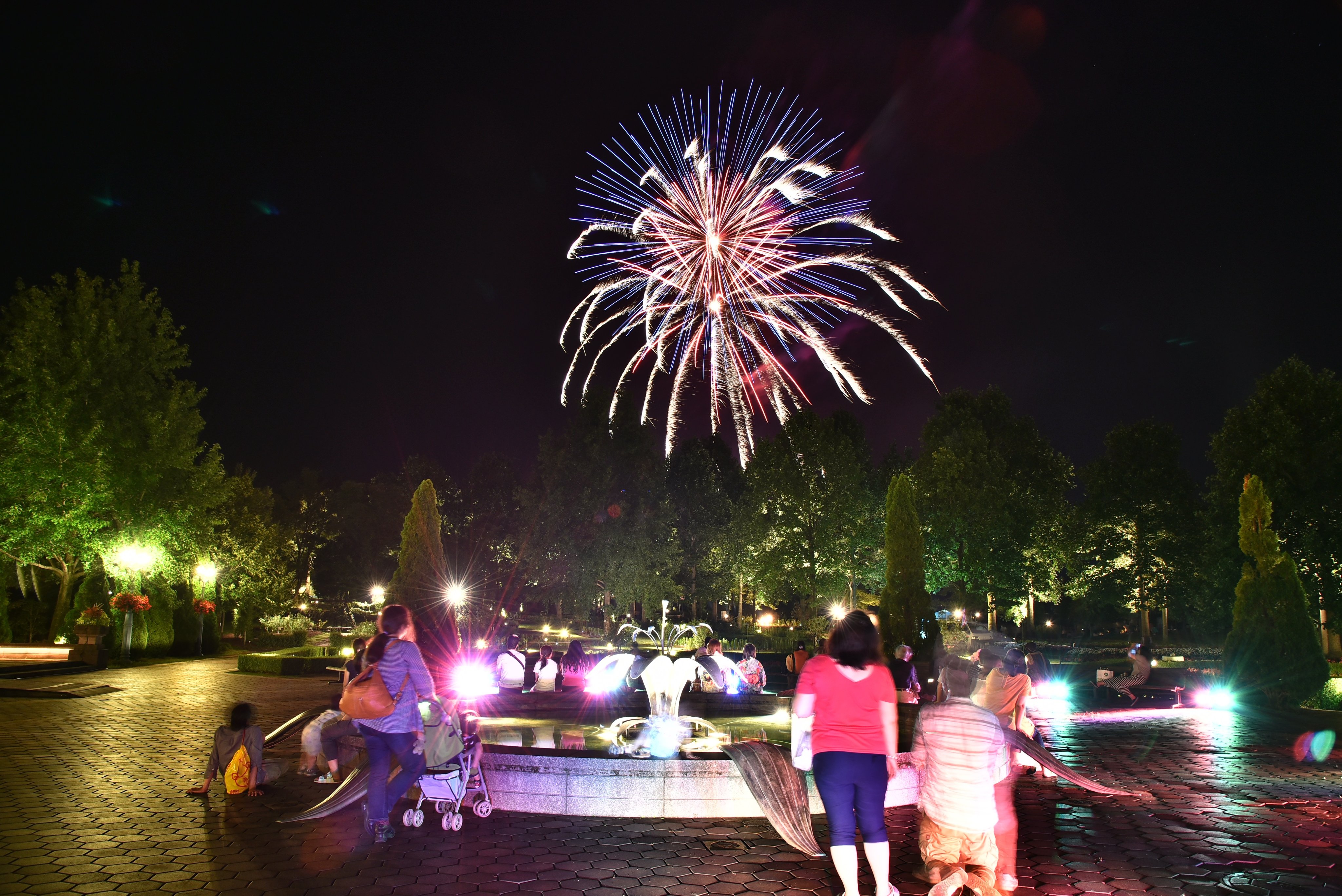 ピロロ ポロロ とっとり花回廊マスコットキャラクター 本日 25日 は夜間開園日 21時まで開園しているよ さらに 時からは花火 夏の花火が待ちきれないっ という方は一足早くご覧あれ T Co Bz5aq2bcsd とっとり 花回廊 花回廊
