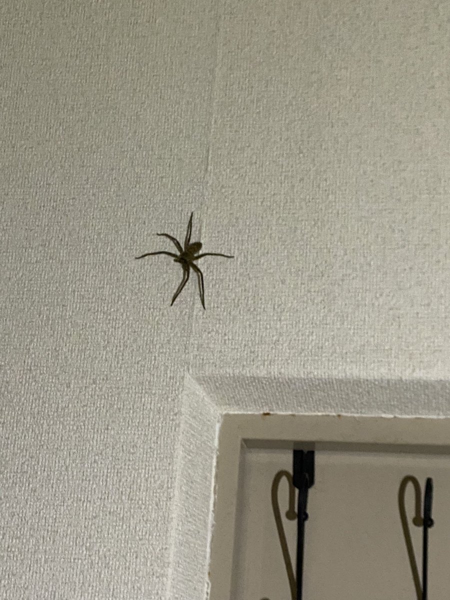 あすちャん Dtoku44 だいすけさん わら 絵文字で察しれとゆーことですか Twitter