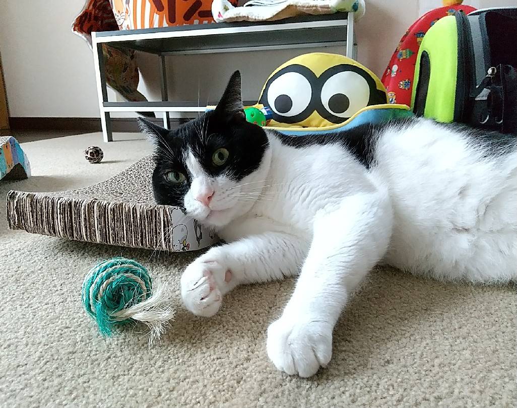 ぐったり Twitter Search Twitter